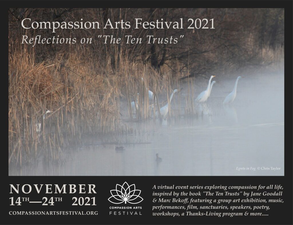 Compassion Arts Poster